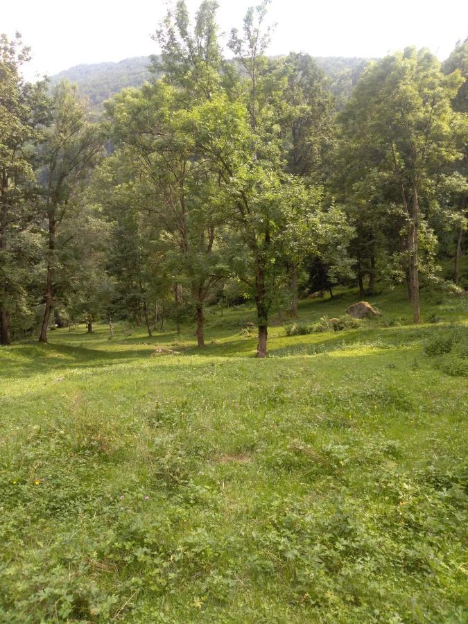 Agriturismo Ciambun Sampeire Dış mekan fotoğraf