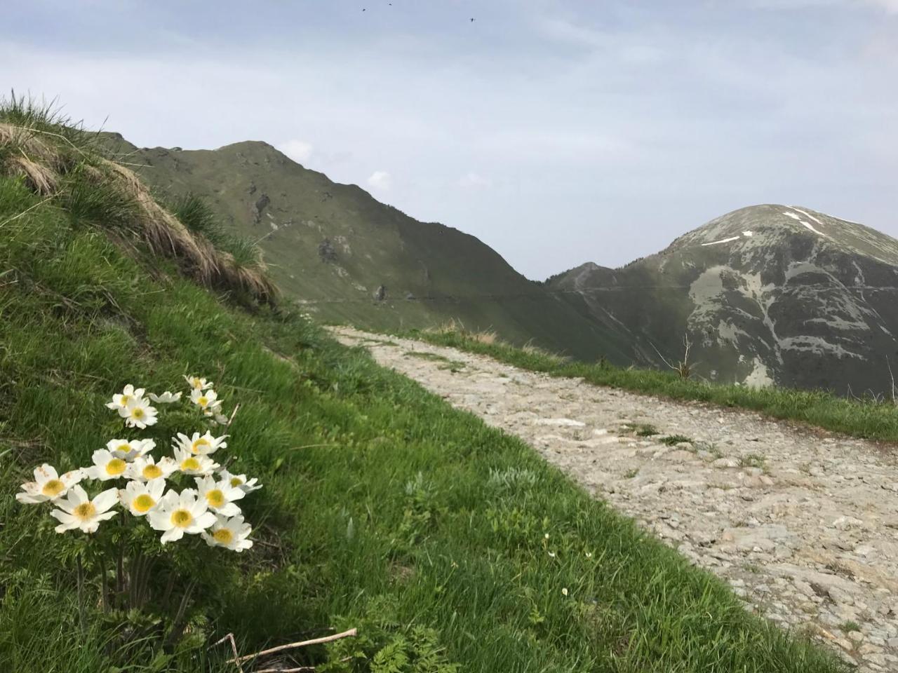 Agriturismo Ciambun Sampeire Dış mekan fotoğraf